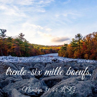 Picture 03 - Nombres 31:44 LSG - trente-six mille - Bible Verse Picture