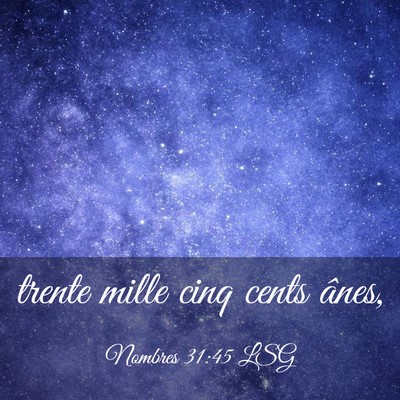 Picture 03 - Nombres 31:45 LSG - trente mille cinq cents - Bible Verse Picture
