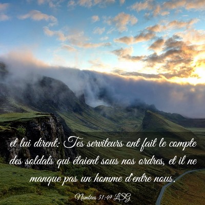 Picture 03 - Nombres 31:49 LSG - et lui dirent: Tes serviteurs ont fait le compte - Bible Verse Picture
