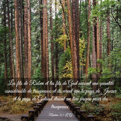 Picture 03 - Nombres 32:1 LSG - Les fils de Ruben et les fils de Gad avaient une - Bible Verse Picture