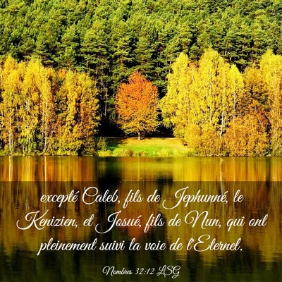 Picture 03 - Nombres 32:12 LSG - excepté Caleb, fils de Jephunné, le Kenizien, - Bible Verse Picture
