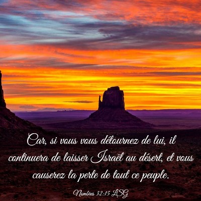 Picture 03 - Nombres 32:15 LSG - Car, si vous vous détournez de lui, il - Bible Verse Picture
