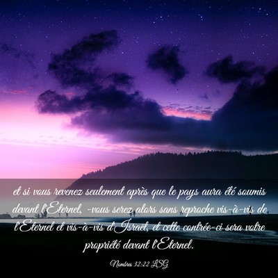 Picture 03 - Nombres 32:22 LSG - et si vous revenez seulement après que le pays - Bible Verse Picture