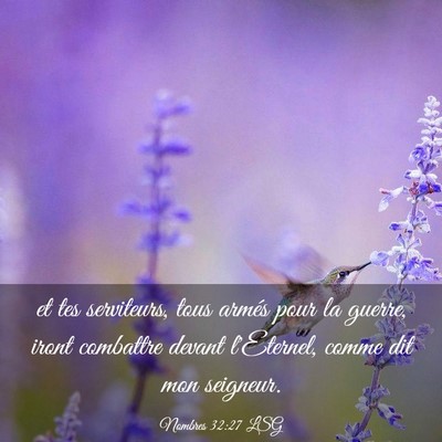Picture 03 - Nombres 32:27 LSG - et tes serviteurs, tous armés pour la guerre, - Bible Verse Picture