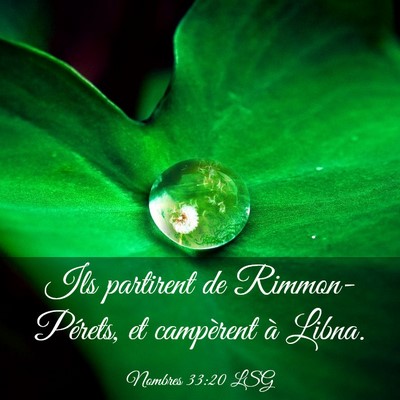 Picture 03 - Nombres 33:20 LSG - Ils partirent de Rimmon-Pérets, et campèrent à - Bible Verse Picture