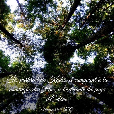 Picture 03 - Nombres 33:37 LSG - Ils partirent de Kadès, et campèrent à la - Bible Verse Picture