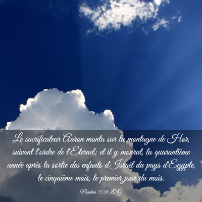 Picture 03 - Nombres 33:38 LSG - Le sacrificateur Aaron monta sur la montagne de - Bible Verse Picture