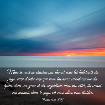 Picture 03 - Nombres 33:55 LSG - Mais si vous ne chassez pas devant vous les - Bible Verse Picture