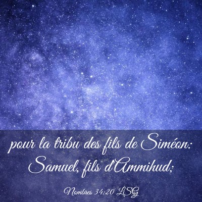 Picture 03 - Nombres 34:20 LSG - pour la tribu des fils de Siméon: Samuel, fils - Bible Verse Picture