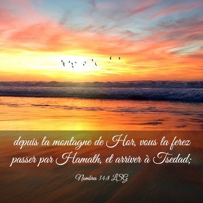 Picture 03 - Nombres 34:8 LSG - depuis la montagne de Hor, vous la ferez passer - Bible Verse Picture