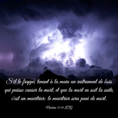 Picture 03 - Nombres 35:18 LSG - S'il le frappe, tenant à la main un instrument - Bible Verse Picture