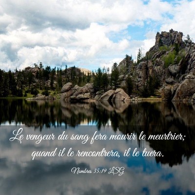 Picture 03 - Nombres 35:19 LSG - Le vengeur du sang fera mourir le meurtrier; - Bible Verse Picture