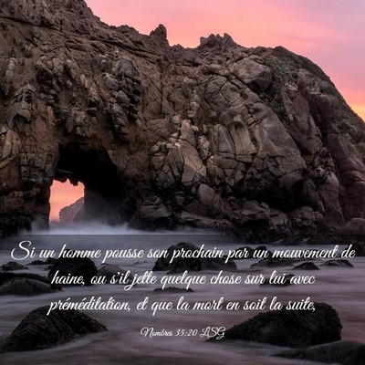 Picture 03 - Nombres 35:20 LSG - Si un homme pousse son prochain par un mouvement - Bible Verse Picture