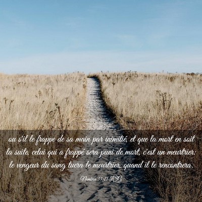 Picture 03 - Nombres 35:21 LSG - ou s'il le frappe de sa main par inimitié, et - Bible Verse Picture