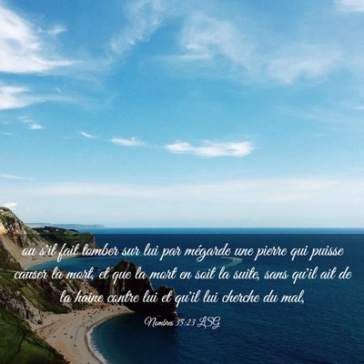 Picture 03 - Nombres 35:23 LSG - ou s'il fait tomber sur lui par mégarde une - Bible Verse Picture