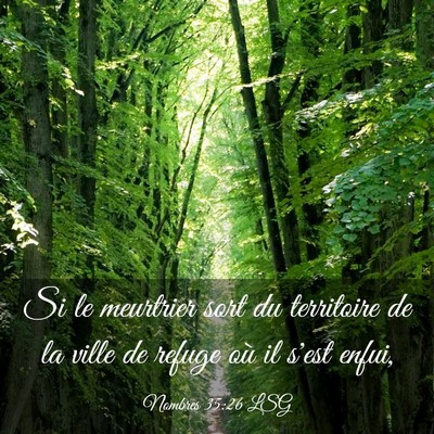 Picture 03 - Nombres 35:26 LSG - Si le meurtrier sort du territoire de la ville de - Bible Verse Picture