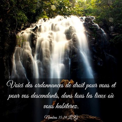Picture 03 - Nombres 35:29 LSG - Voici des ordonnances de droit pour vous et pour - Bible Verse Picture