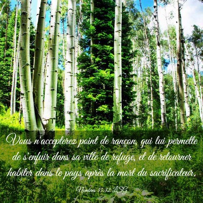 Picture 03 - Nombres 35:32 LSG - Vous n'accepterez point de rançon, qui lui - Bible Verse Picture