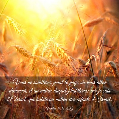 Picture 03 - Nombres 35:34 LSG - Vous ne souillerez point le pays où vous allez - Bible Verse Picture