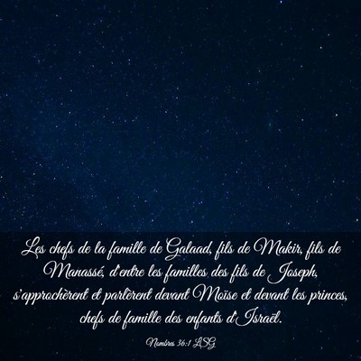 Picture 03 - Nombres 36:1 LSG - Les chefs de la famille de Galaad, fils de Makir, - Bible Verse Picture