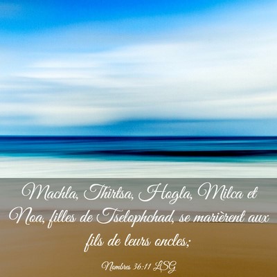 Picture 03 - Nombres 36:11 LSG - Machla, Thirtsa, Hogla, Milca et Noa, filles de - Bible Verse Picture