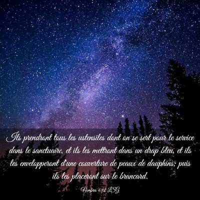 Picture 03 - Nombres 4:12 LSG - Ils prendront tous les ustensiles dont on se sert - Bible Verse Picture