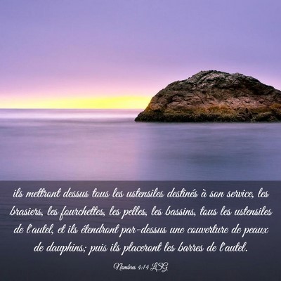 Picture 03 - Nombres 4:14 LSG - ils mettront dessus tous les ustensiles destinés - Bible Verse Picture