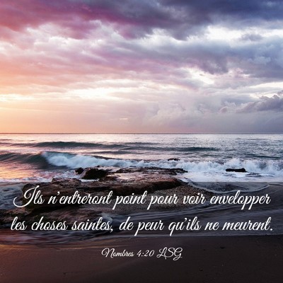 Picture 03 - Nombres 4:20 LSG - Ils n'entreront point pour voir envelopper les - Bible Verse Picture
