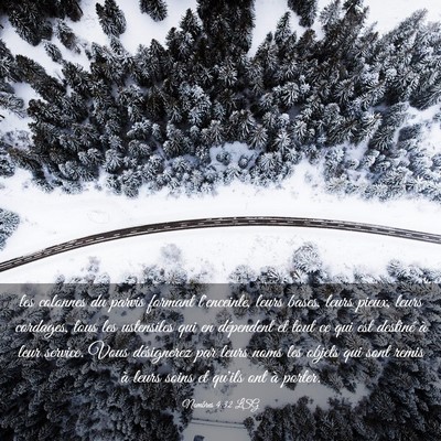 Picture 03 - Nombres 4:32 LSG - les colonnes du parvis formant l'enceinte, leurs - Bible Verse Picture