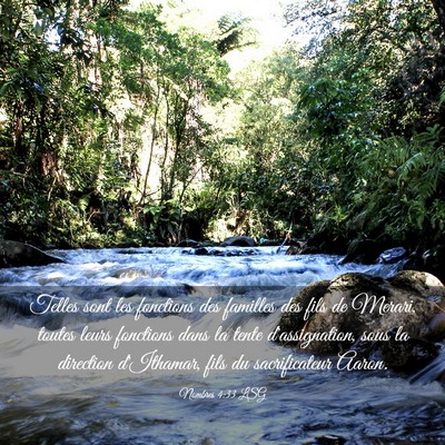 Picture 03 - Nombres 4:33 LSG - Telles sont les fonctions des familles des fils - Bible Verse Picture