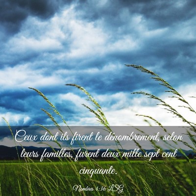 Picture 03 - Nombres 4:36 LSG - Ceux dont ils firent le dénombrement, selon - Bible Verse Picture