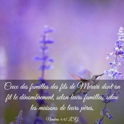 Picture 03 - Nombres 4:42 LSG - Ceux des familles des fils de Merari dont on fit - Bible Verse Picture