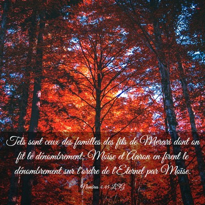 Picture 03 - Nombres 4:45 LSG - Tels sont ceux des familles des fils de Merari - Bible Verse Picture