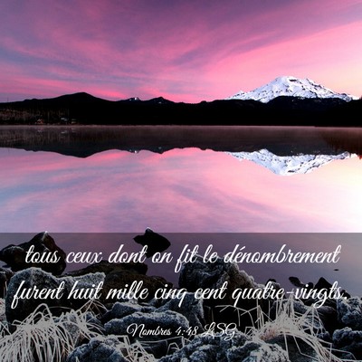 Picture 03 - Nombres 4:48 LSG - tous ceux dont on fit le dénombrement furent - Bible Verse Picture