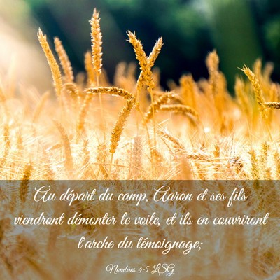 Picture 03 - Nombres 4:5 LSG - Au départ du camp, Aaron et ses fils viendront - Bible Verse Picture