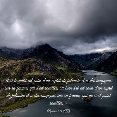 Picture 03 - Nombres 5:14 LSG - et si le mari est saisi d'un esprit de jalousie - Bible Verse Picture