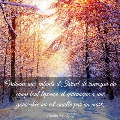 Picture 03 - Nombres 5:2 LSG - Ordonne aux enfants d'Israël de renvoyer du camp - Bible Verse Picture