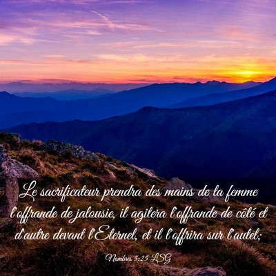 Picture 03 - Nombres 5:25 LSG - Le sacrificateur prendra des mains de la femme - Bible Verse Picture