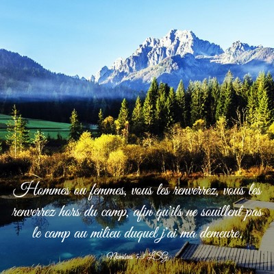 Picture 03 - Nombres 5:3 LSG - Hommes ou femmes, vous les renverrez, vous les - Bible Verse Picture