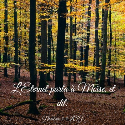 Picture 03 - Nombres 5:5 LSG - L'Eternel parla à Moïse, et - Bible Verse Picture