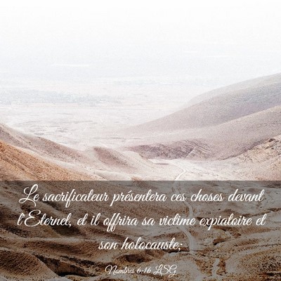 Picture 03 - Nombres 6:16 LSG - Le sacrificateur présentera ces choses devant - Bible Verse Picture