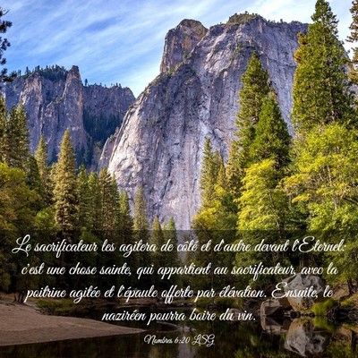 Picture 03 - Nombres 6:20 LSG - Le sacrificateur les agitera de côté et d'autre - Bible Verse Picture