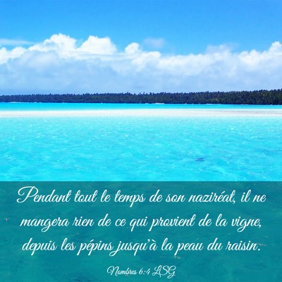 Picture 03 - Nombres 6:4 LSG - Pendant tout le temps de son naziréat, il ne - Bible Verse Picture