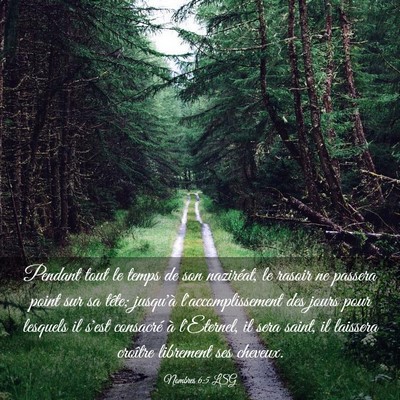 Picture 03 - Nombres 6:5 LSG - Pendant tout le temps de son naziréat, le rasoir - Bible Verse Picture
