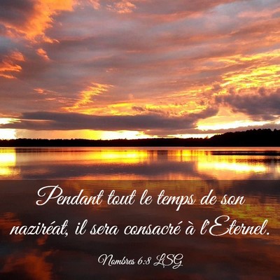 Picture 03 - Nombres 6:8 LSG - Pendant tout le temps de son naziréat, il sera - Bible Verse Picture