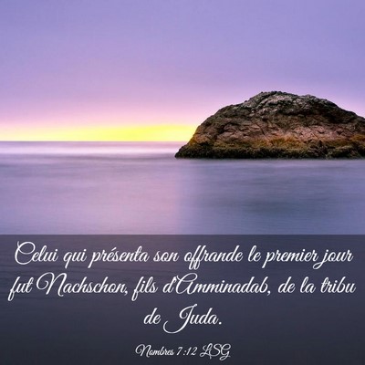 Picture 03 - Nombres 7:12 LSG - Celui qui présenta son offrande le premier jour - Bible Verse Picture