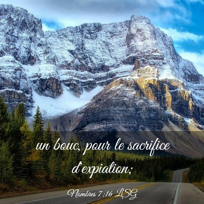 Picture 03 - Nombres 7:16 LSG - un bouc, pour le sacrifice - Bible Verse Picture