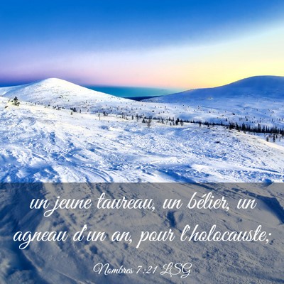 Picture 03 - Nombres 7:21 LSG - un jeune taureau, un bélier, un agneau d'un an, - Bible Verse Picture