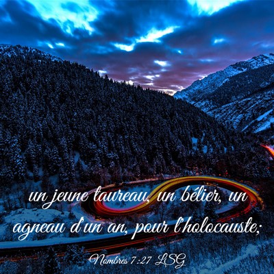 Picture 03 - Nombres 7:27 LSG - un jeune taureau, un bélier, un agneau d'un an, - Bible Verse Picture