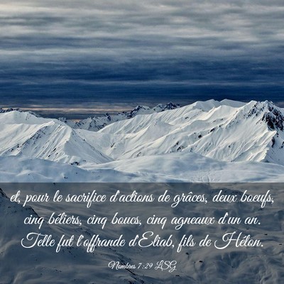 Picture 03 - Nombres 7:29 LSG - et, pour le sacrifice d'actions de grâces, deux - Bible Verse Picture